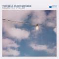 Виниловая пластинка THE NELS CLINE SINGERS - SHARE THE WEALTH (2 LP)