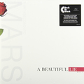 Виниловая пластинка THIRTY SECONDS TO MARS - BEAUTIFUL LIE (180 GR)