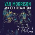 Виниловая пластинка VAN MORRISON - YOU'RE DRIVING ME CRAZY (2 LP)