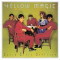 YELLOW MAGIC ORCHESTRA - SOLID STATE SURVIVOR