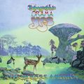Виниловая пластинка YES - TOPOGRAPHIC DRAMA - LIVE ACROSS AMERICA (3 LP, 180 GR)